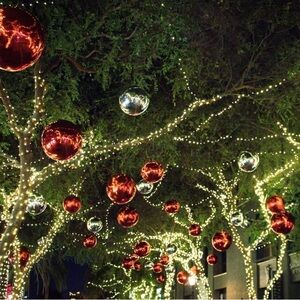 Meet your Posher, Trendy